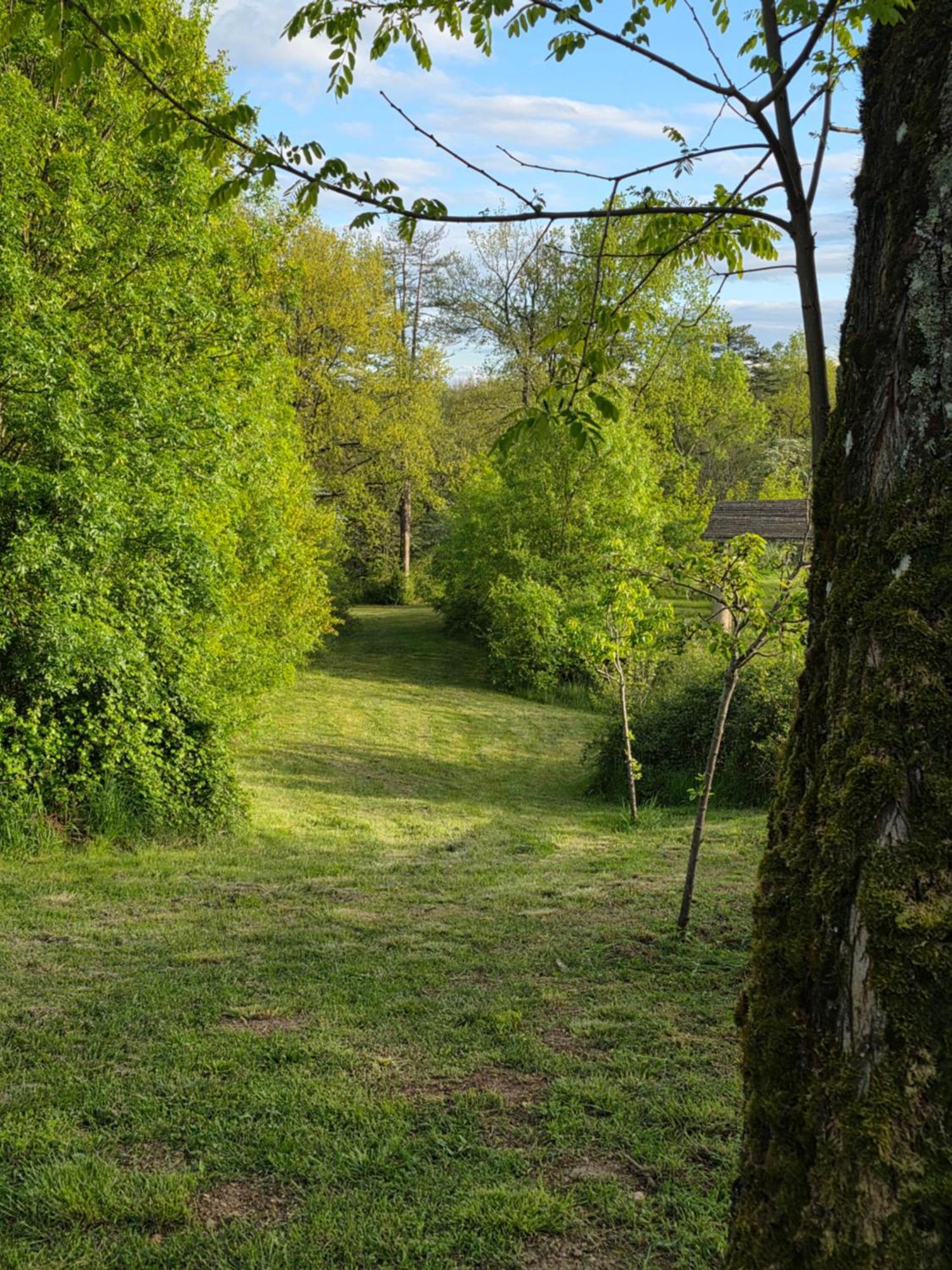 Chateau De Pourpry Damiatte Bagian luar foto