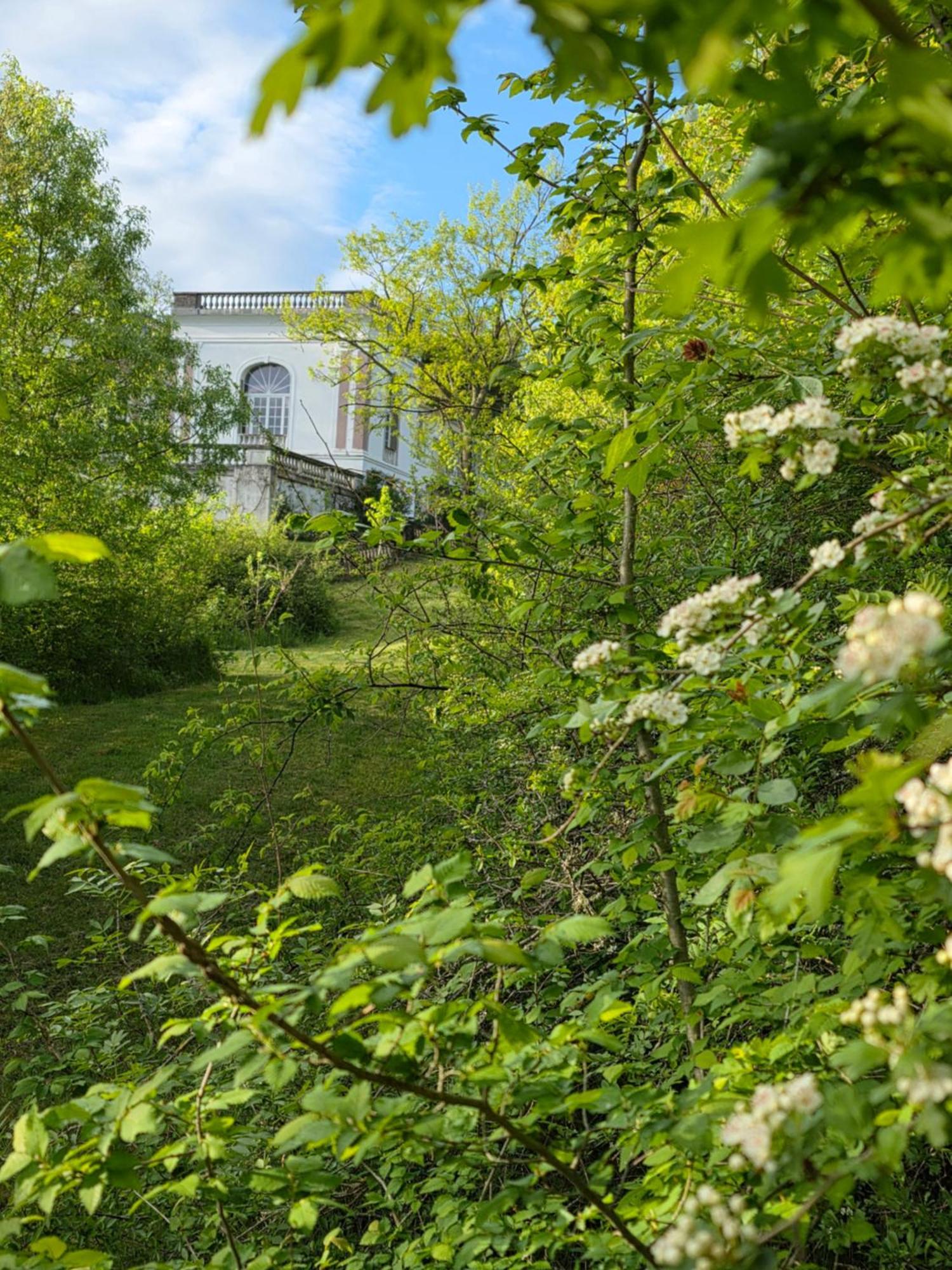 Chateau De Pourpry Damiatte Bagian luar foto
