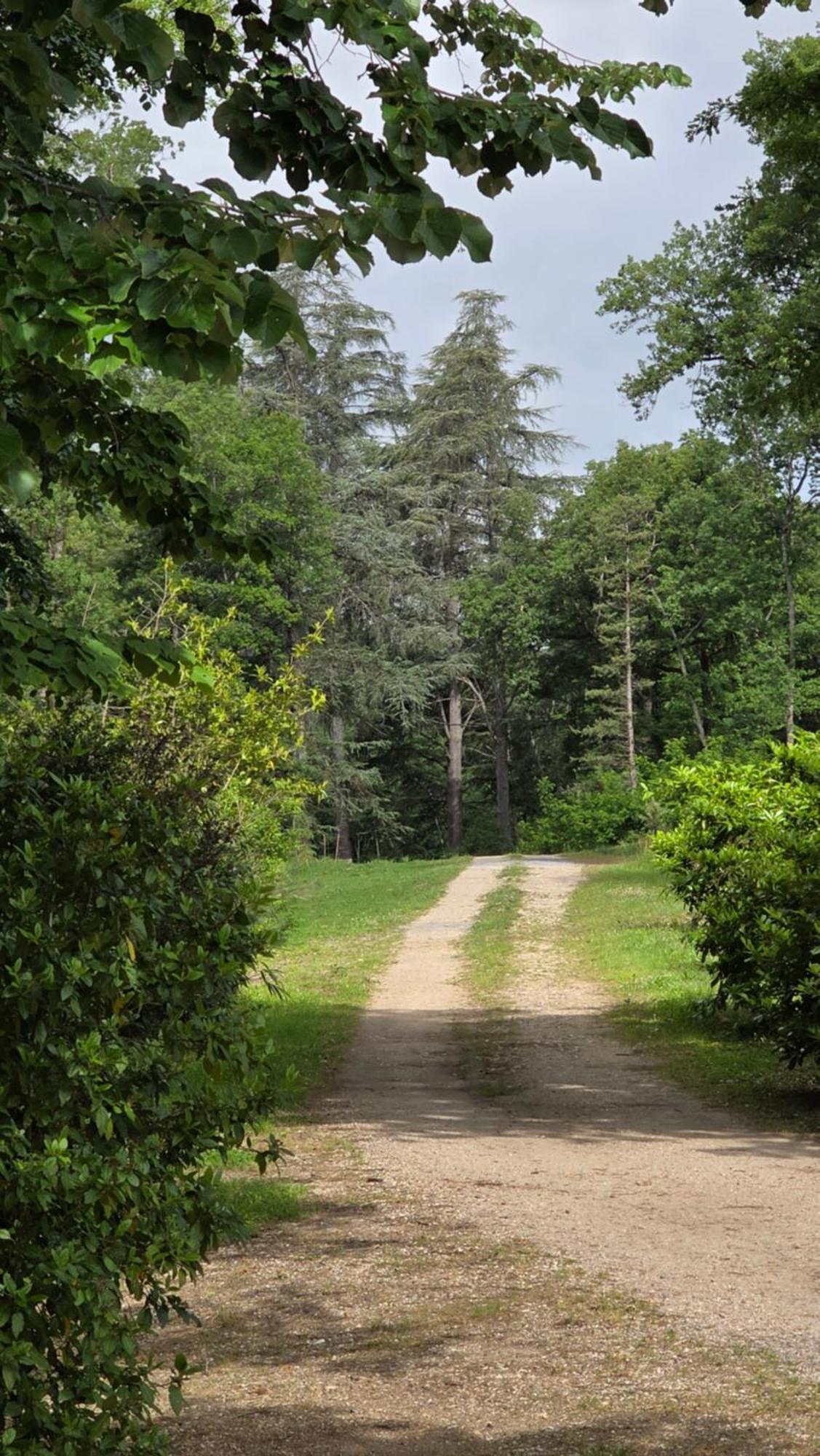 Chateau De Pourpry Damiatte Bagian luar foto