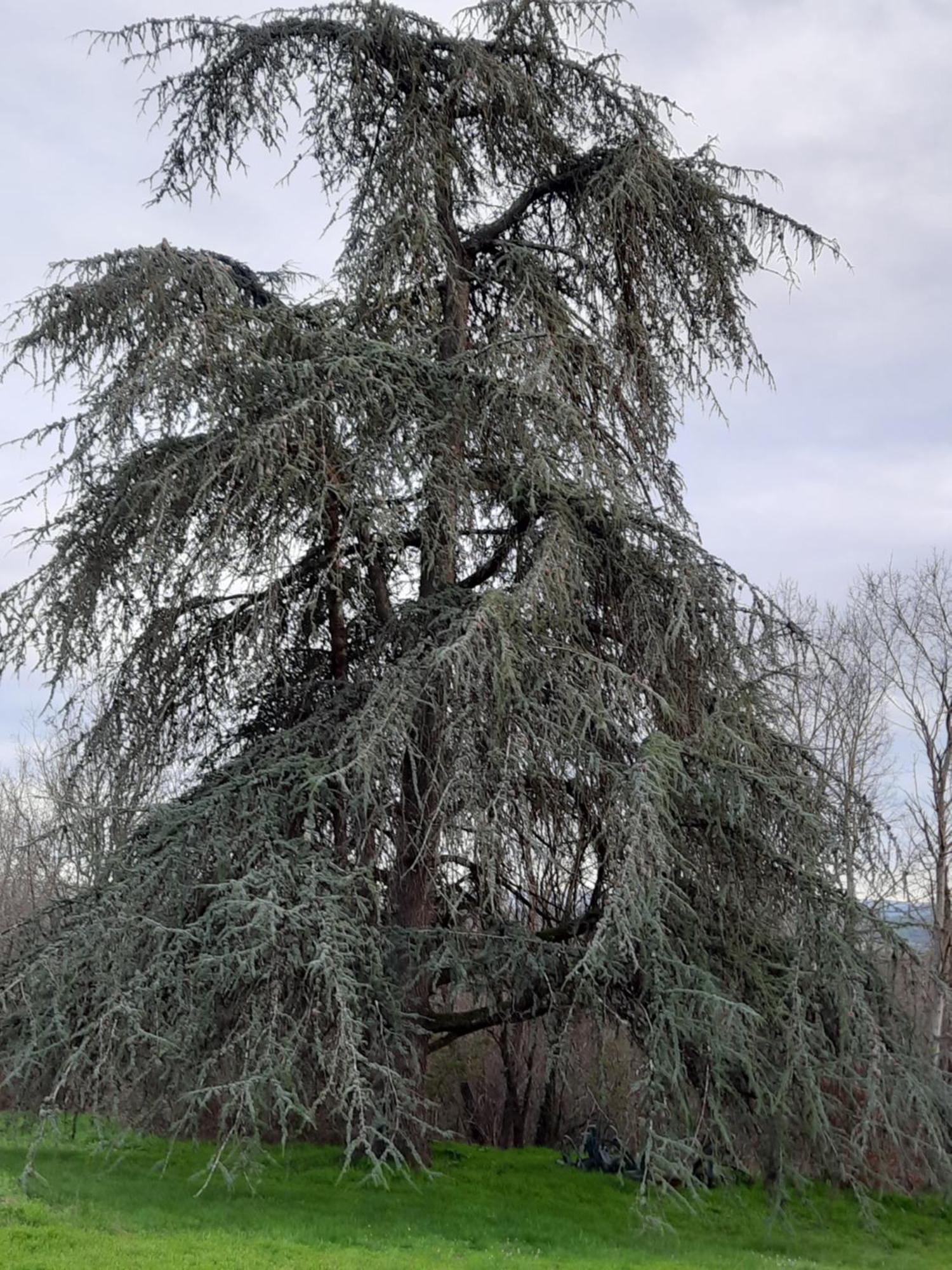 Chateau De Pourpry Damiatte Bagian luar foto